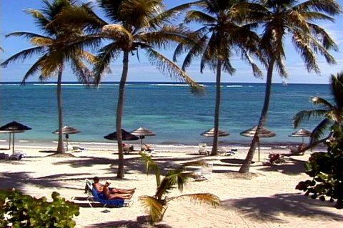 St-James's Beach-pan Stock-Footage 820443