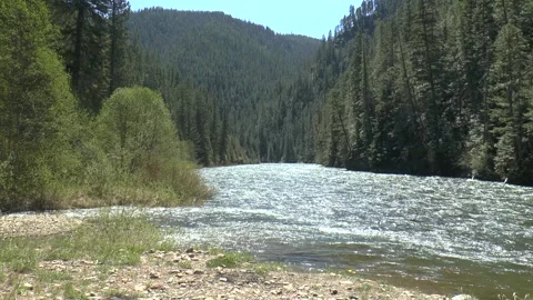 St Joe River, Saint Maries, Idaho Video stock 299043604