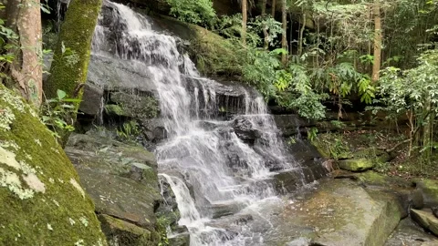 St Johns Falls Video stock 146295054