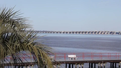 St. Johns river in Florida Stock Footage 95493734