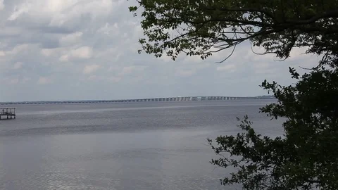 St. Johns river in Florida Stock Footage 95493746