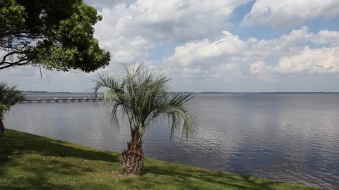 St. Johns river in Florida Stock Footage 95493751