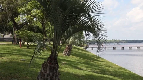 St. Johns river in Florida Stock Footage 95493758