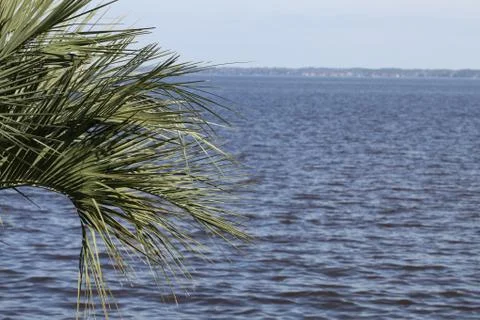 St. Johns river in Florida Stock Photos
