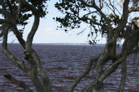 St. Johns river in Florida Stock Photos
