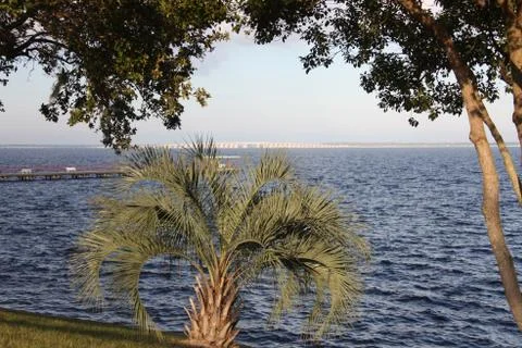 St. Johns river in Florida Stock Photos
