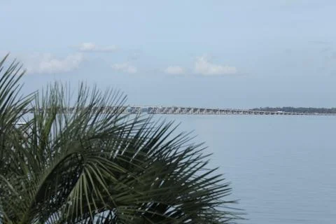 St. Johns river in Florida Stock Photos
