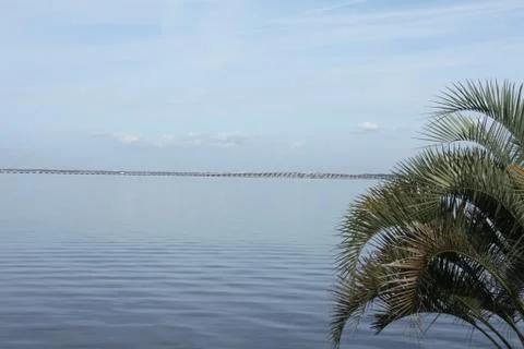 St. Johns river in Florida Stock Photos