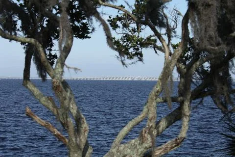 St. Johns river in Florida Stock Photos