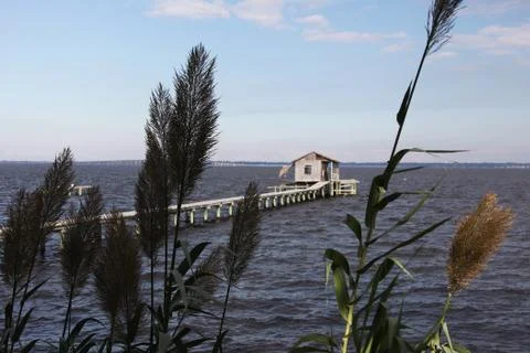 St. Johns river in Florida Stock Photos
