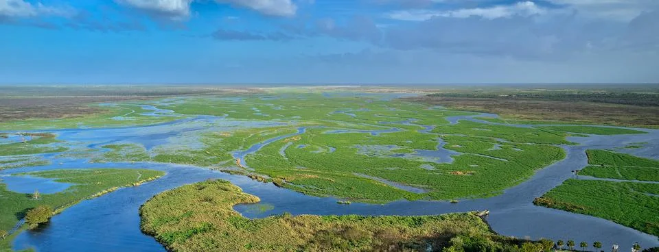 St. John's River 스톡 사진