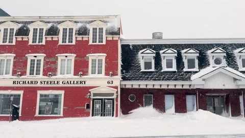 St. John's Snowstorm 2 Stock Footage 329793049