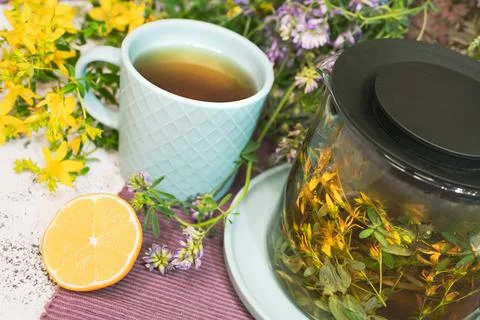 St John's wort tea 스톡 사진