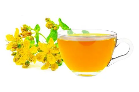 St. John's wort tea Stock Photos