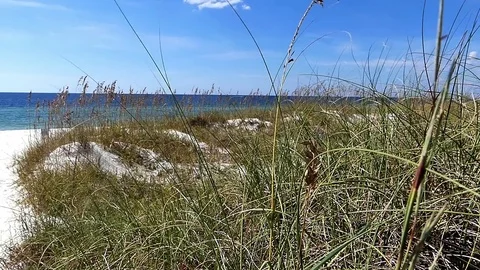 St. Joseph Peninsula State Park dunes sea oats blue green water before Hurricane Stock Footage 70031649