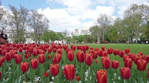St. Kl. Ohridski gardens in Sofia, Bulgaria Stock Footage 242308739