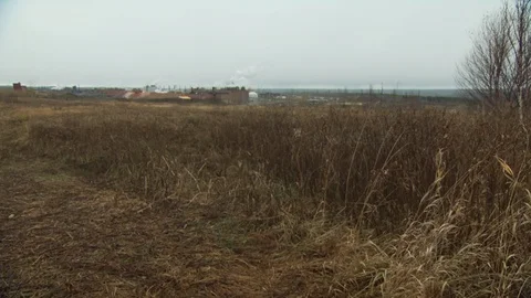 St Lawrence Stock Footage 123931287