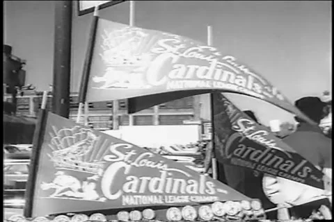 Flag of Saint Louis Cardinals, american , Stock Video