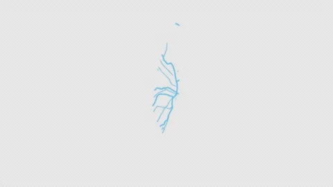 St. Louis City Line Map Self Drawing Animated Overlay, Alpha 4K 스톡 동영상 340293381