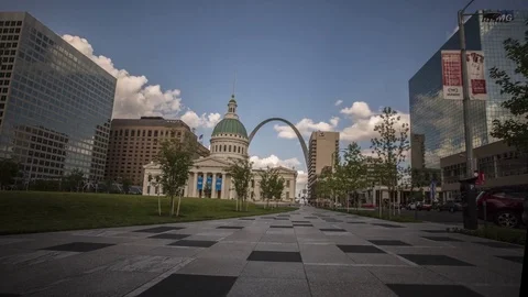 St. Louis Zoom Stock Footage 80965591