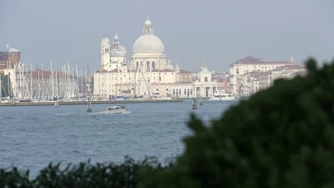 St Mark's Basin Venice Stock Footage 70877123