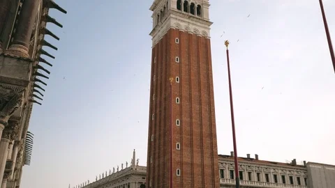 St. Mark's Campanile view with flying birds in Venice, Italy Video stock 79060961