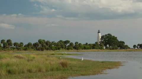 St Marks Lighthouse and Great Egrets Vídeo Stock 49644478