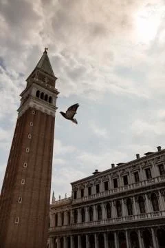 St. Mark's Square Stock Photos