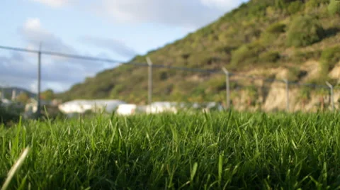St Martin Grass Stock Footage 26842654