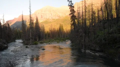 St. Mary River Stock Footage 83460235