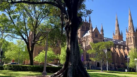 St Mary's Cathedral and Hyde Park at  Sydney Australia Vídeos de archivo 252153059