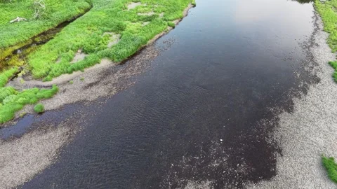 St Marys River Nova Scotia Aerial River and Riparian Zone Stock Footage 339298886