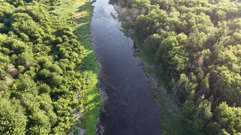 St Marys River Nova Scotia, Summer, River and Riparian Zone, Drone Footage Stock Footage 340526045