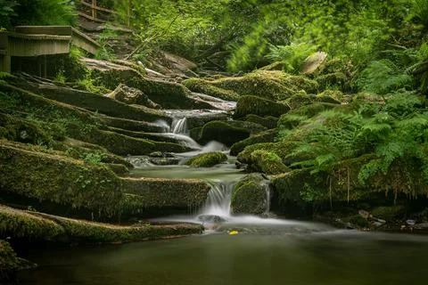 St Nectan's Glen stream in Cornwall United Kingdom Stock Photos