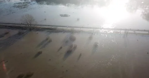 St Neots - River Ouse Burts Its Banks After Storm Bella -  Willow Bridge 4k Stock-Footage 145842502