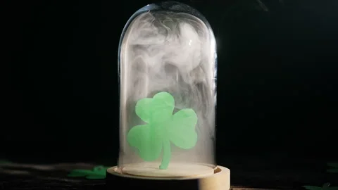 St patrick day Clover under glass vial Stock Footage 301907480