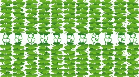 St Patrick Day Shamrocks Stock Footage 328115