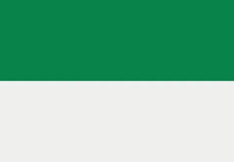 St. Patrick's Day flag Stock Illustration