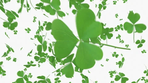 St Patrick's Day Stock Footage 299682973