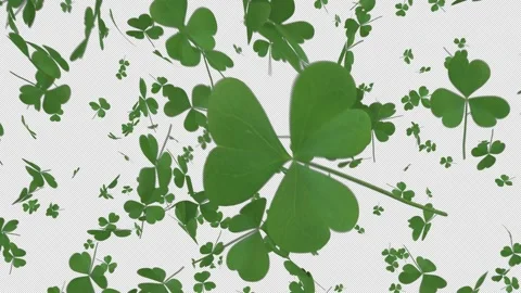 St Patrick's Day Stock Footage 299683206