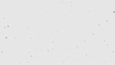 St Patrick's Day Stock Footage 301039366