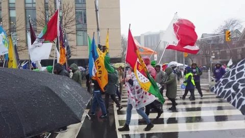 St. Patrick's Day parade in Toronto, Ontario, Canada. 库存影片 307857554