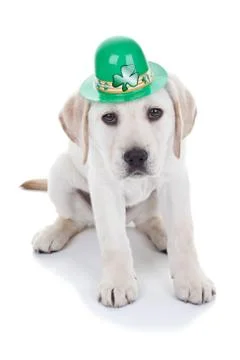 St Patricks Day Stock Photos
