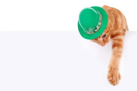St. Patricks Day Stock Photos