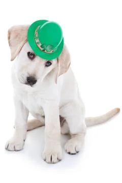 St Patricks Day Stock Photos