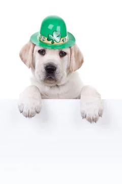 St Patricks Day Stock Photos