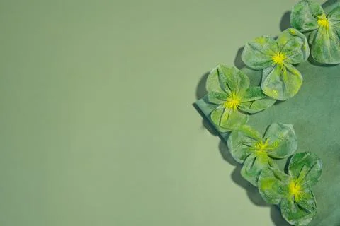 St. Patrick’s Day Stock Photos