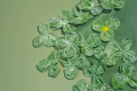 St. Patrick’s Day Stock Photos