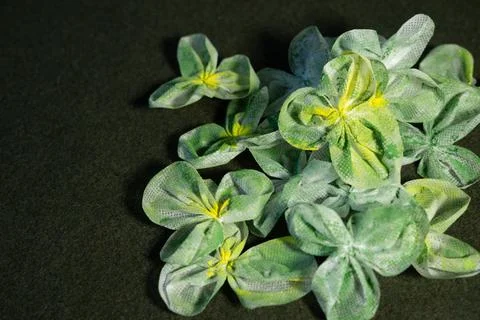 St. Patrick’s Day Stock Photos