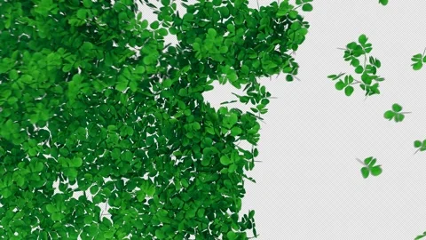 St. Patrick's Day Shamrock Alpha Transition Stock Footage 328811472